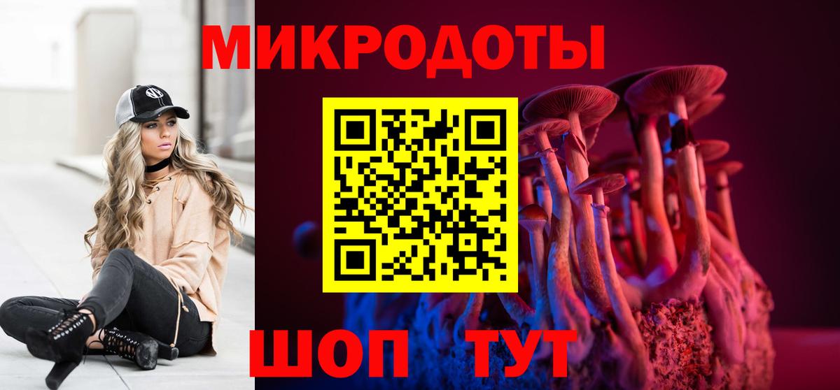 Галлюциногенные грибы Psilocybe Абакан